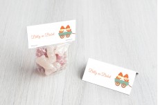 Twee kleine vosjes Twee kleine vosjes